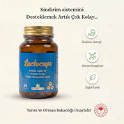 Lactocaps - Bağırsak Sağlığı ve Sindirim Desteği | 6 Enzim Kompleksi