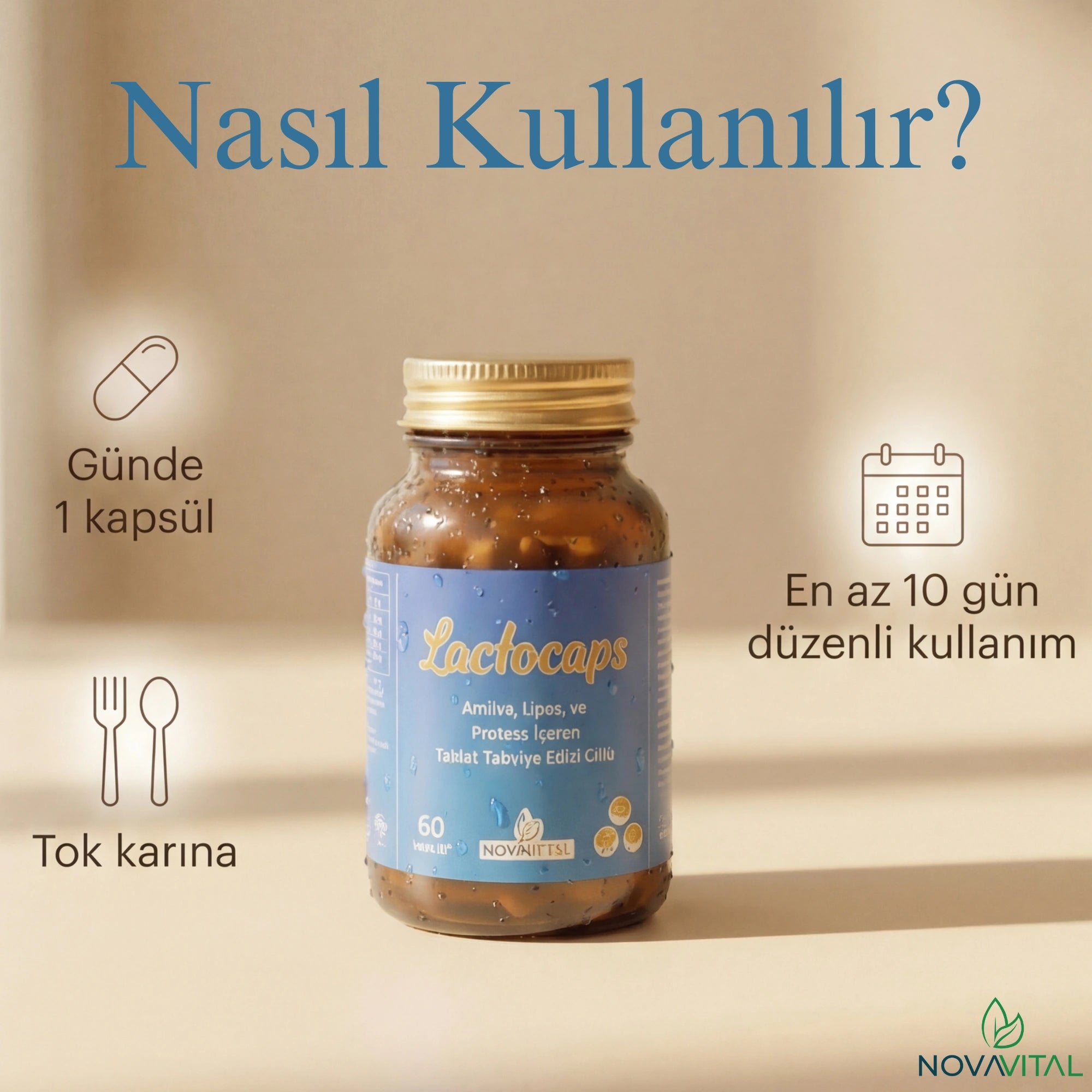 Lactocaps - Bağırsak Sağlığı ve Sindirim Desteği | 6 Enzim Kompleksi