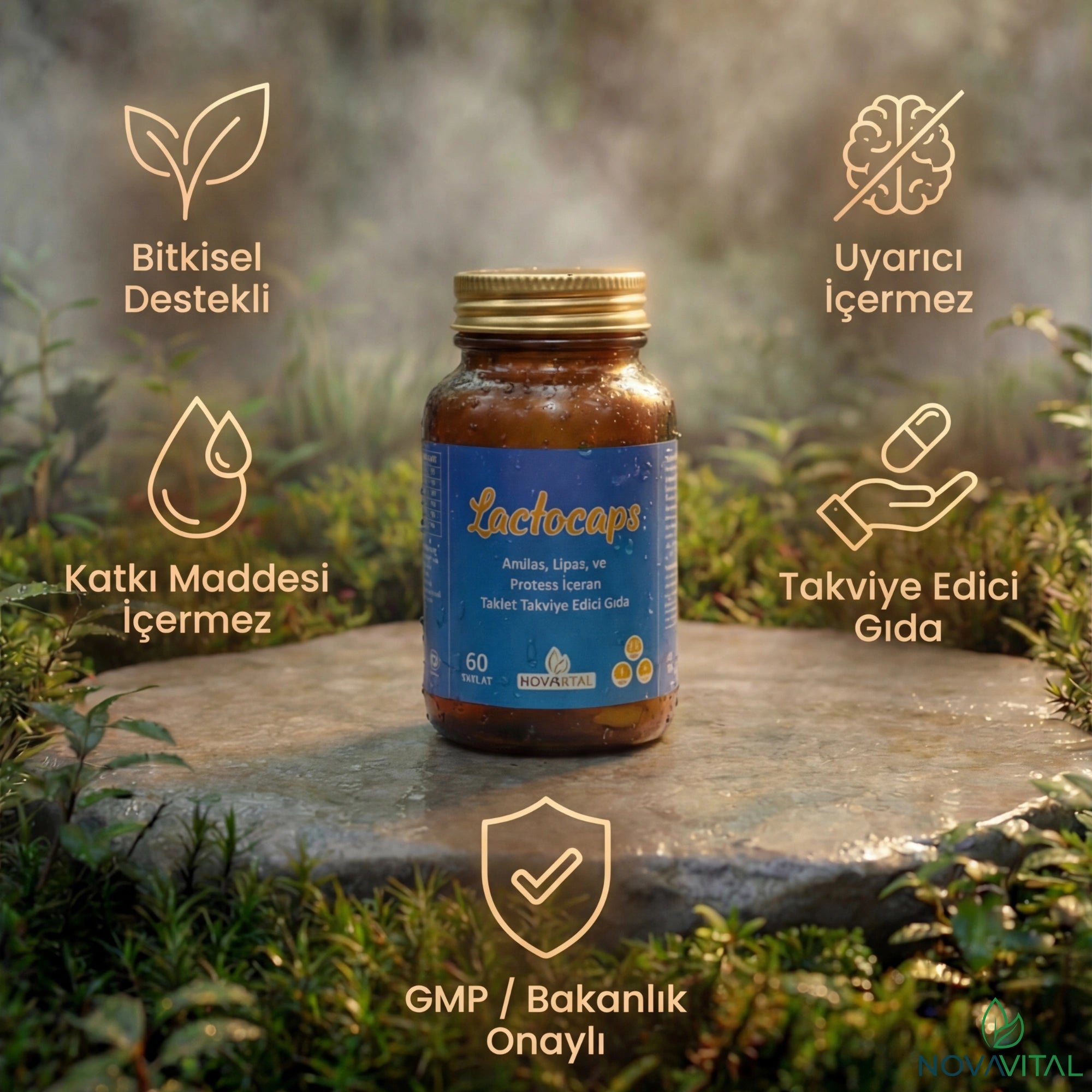 Lactocaps - Bağırsak Sağlığı ve Sindirim Desteği | 6 Enzim Kompleksi