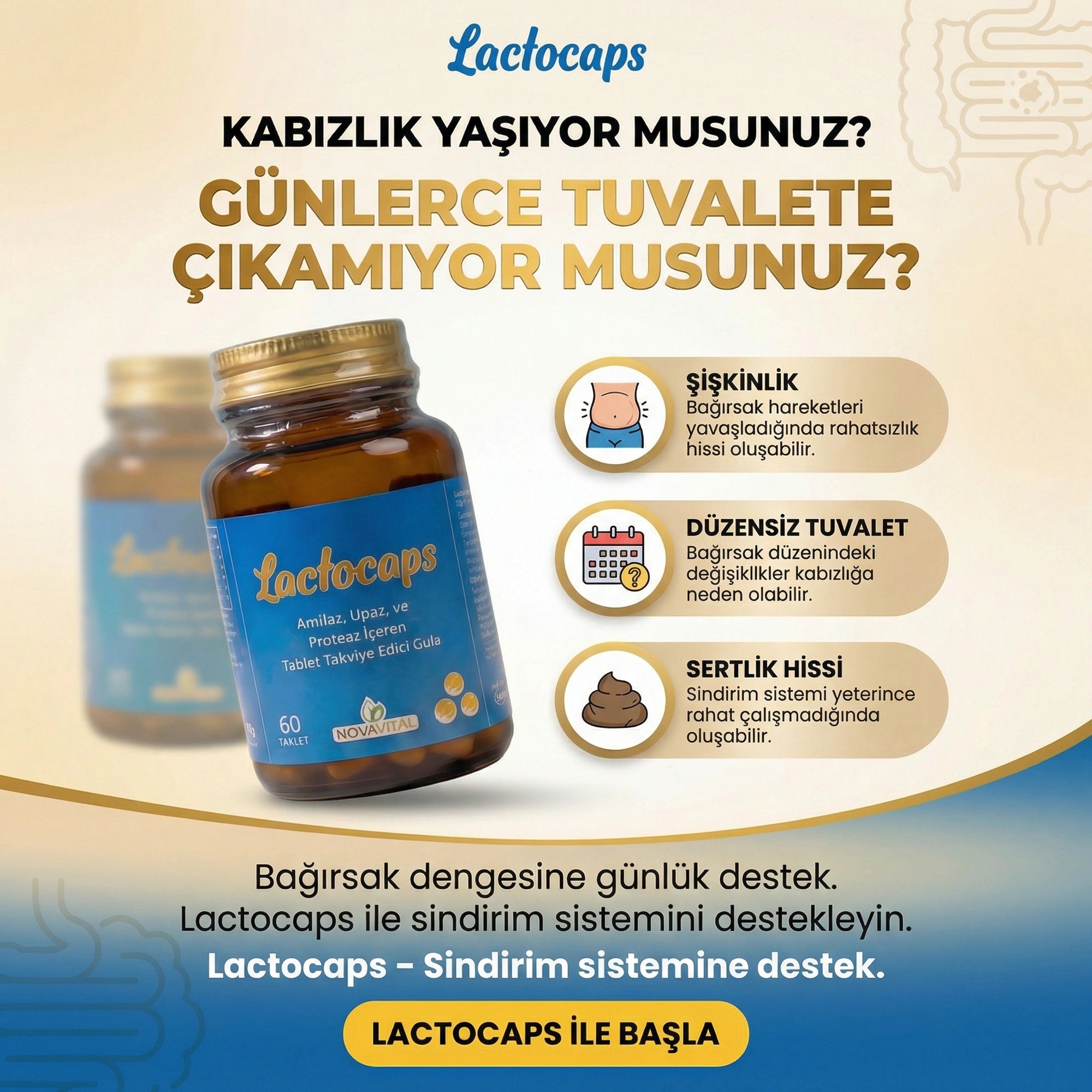 Lactocaps - Bağırsak Sağlığı ve Sindirim Desteği | 6 Enzim Kompleksi